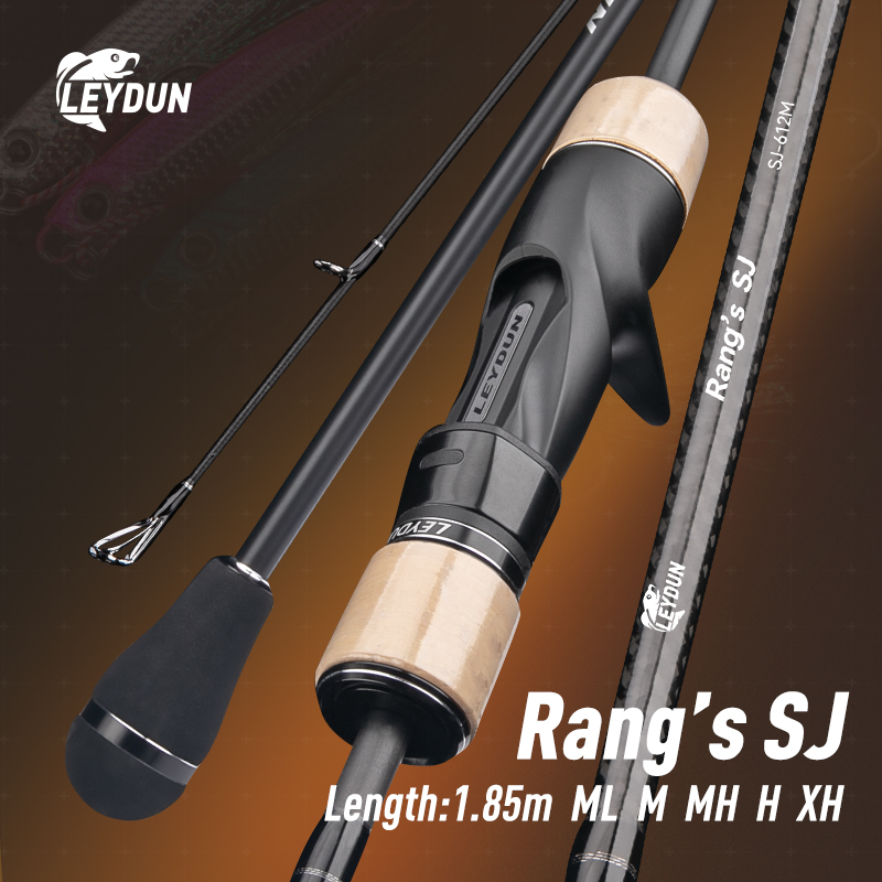 LEYDUN Rang’s SJ Slow Jigging  - огляд і ціна Fishing Rod Surf